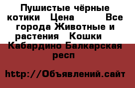 Пушистые чёрные котики › Цена ­ 100 - Все города Животные и растения » Кошки   . Кабардино-Балкарская респ.